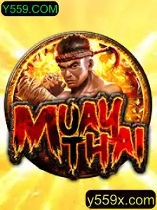 Explorando o Fascinante Mundo do MuayThai com Y559.COM