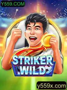 Descubra o Mundo do Jogo StrikerWILD