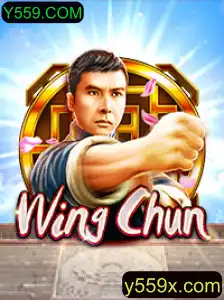 Descubra o Fascinante Mundo de WingChun